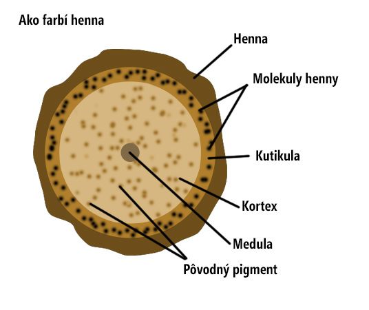 Ako farbí vlasy henna