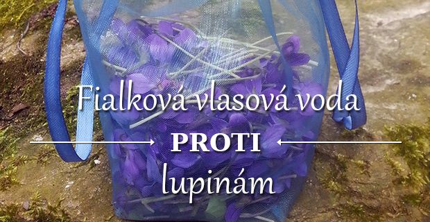 Fialková vlasová voda proti lupinám